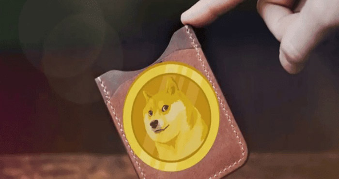 Best Dogecoin Wallet