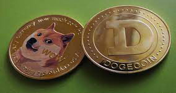 Dogecoin Wallet Without Fees