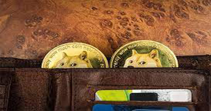 Dogecoin Wallet Without Social Security Number