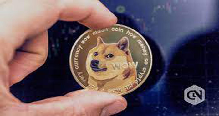 Dogecoin Wallet Without Verification