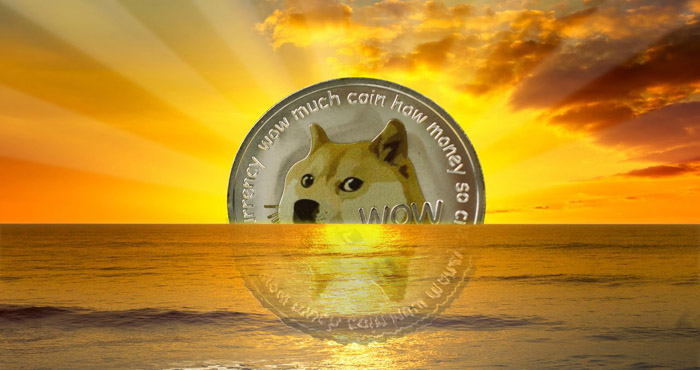 Hidden Dogecoin Wallet