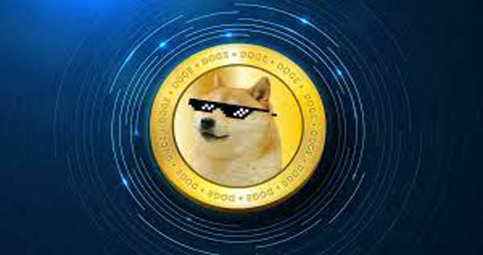 Incognito Dogecoin Wallet