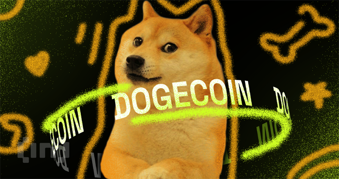 Permanent Dogecoin Wallet