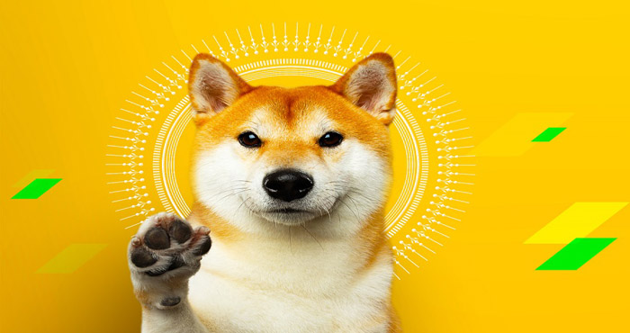 Personal Dogecoin Wallet
