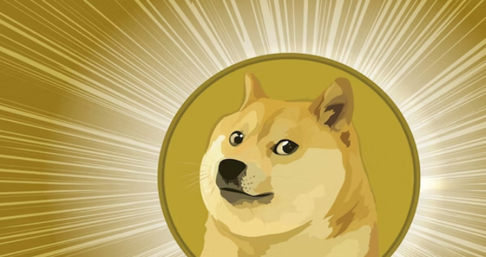Random Dogecoin Wallet