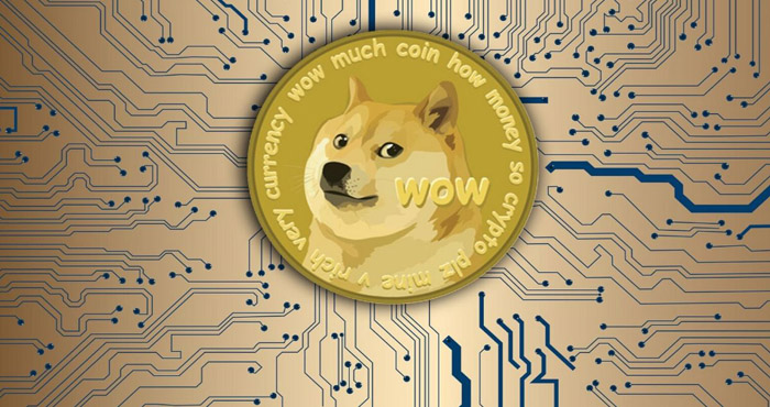 Safe Dogecoin Wallet