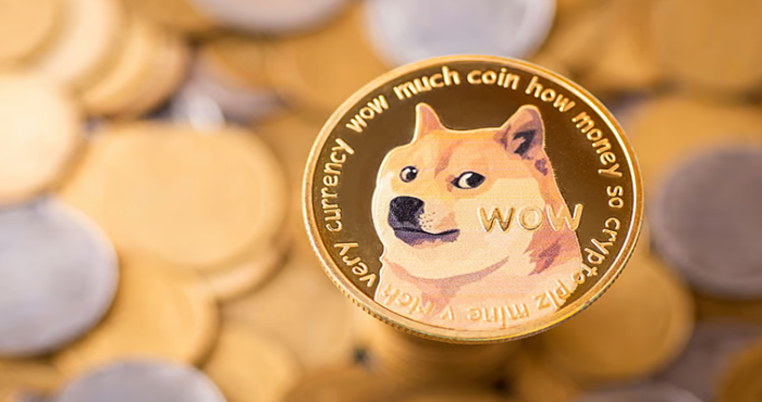 Secure Dogecoin Wallet